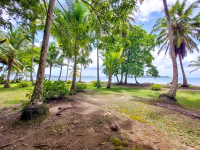 Titled Oceanfront Lot on Isla Carenero, Bocas del Toro - image 5