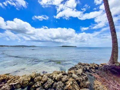 Titled Oceanfront Lot on Isla Carenero, Bocas del Toro - image 4