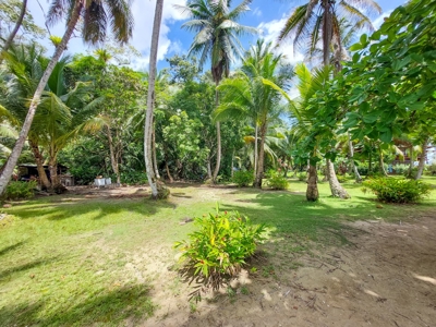 Titled Oceanfront Lot on Isla Carenero, Bocas del Toro - image 1