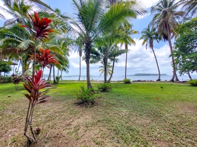 Titled Oceanfront Lot on Isla Carenero, Bocas del Toro - image 3