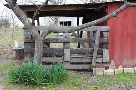 Charming Homestead in Southern Missouri Fenced and 2 Ponds - image 38