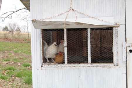Charming Homestead in Southern Missouri Fenced and 2 Ponds - image 40