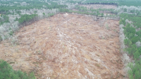 Moro Bay Hwy Property for Sale!! - image 6
