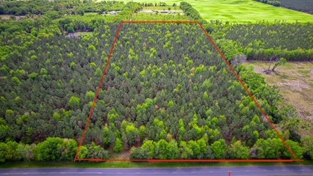 Acreage for sale in McAlpin, FL - image 3