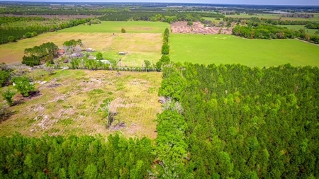 Acreage for sale in McAlpin, FL - image 6