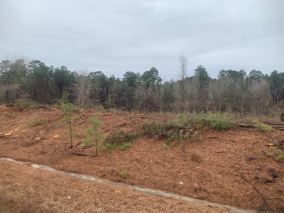 North Moro Bay Hwy Land for Sale! - image 14