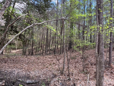 South Moro Bay Hwy Land for Sale!! - image 8