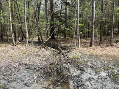 South Moro Bay Hwy Land for Sale!! - image 6