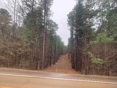 South Moro Bay Hwy Land for Sale!! - image 1