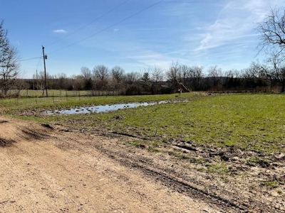 Commercial Poultry Farm - image 12