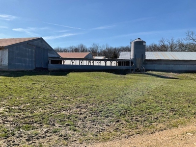 Commercial Poultry Farm - image 35