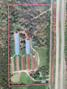 Commercial Poultry Farm - image 1