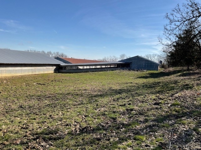 Commercial Poultry Farm - image 3