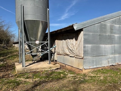 Commercial Poultry Farm - image 6