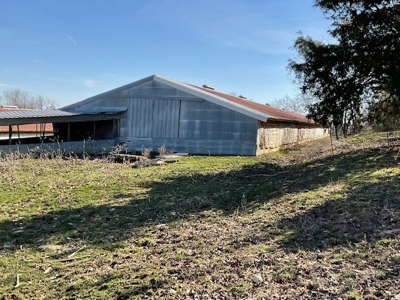 Commercial Poultry Farm - image 4