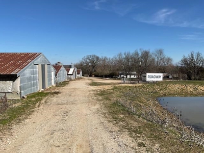Commercial Poultry Farm - image 11