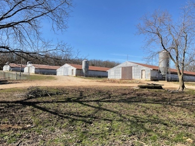 Commercial Poultry Farm - image 32