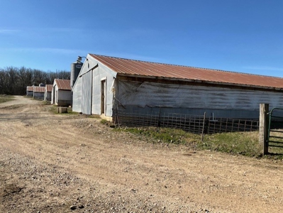 Commercial Poultry Farm - image 33