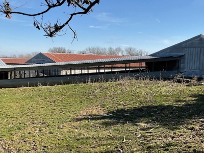 Commercial Poultry Farm - image 5