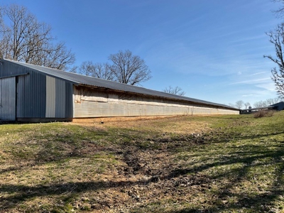 Commercial Poultry Farm - image 2