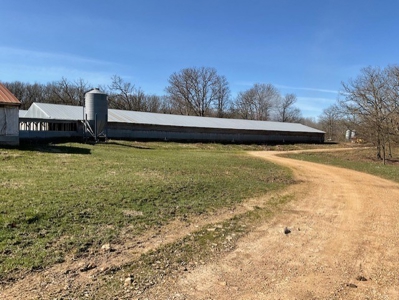 Commercial Poultry Farm - image 34