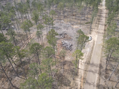 Mature Pine Acreage Near Gurdon Arkansas - image 19