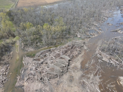 Hunting and Recreational Land in Clark County, AR - image 6