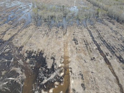 Hunting and Recreational Land in Clark County, AR - image 11