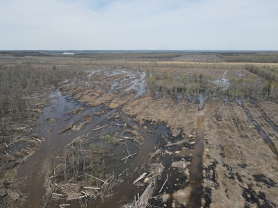Hunting and Recreational Land in Clark County, AR - image 4