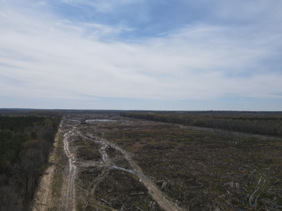 Hunting and Recreational Land in Clark County, AR - image 23