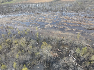 Hunting and Recreational Land in Clark County, AR - image 7