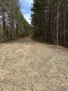 Hunting and Recreational Land in Clark County, AR - image 19
