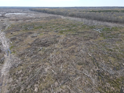 Hunting and Recreational Land in Clark County, AR - image 28