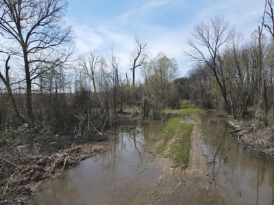 Hunting and Recreational Land in Clark County, AR - image 21