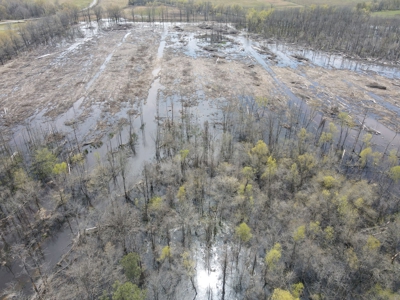Hunting and Recreational Land in Clark County, AR - image 13