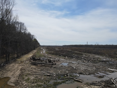 Hunting and Recreational Land in Clark County, AR - image 22