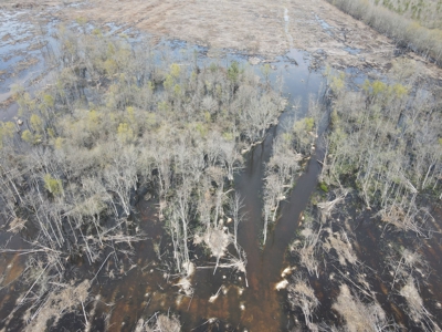 Hunting and Recreational Land in Clark County, AR - image 10