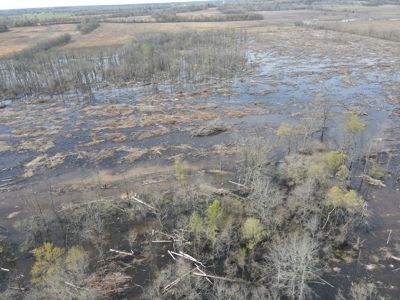 Hunting and Recreational Land in Clark County, AR - image 12