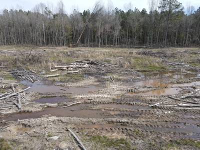 Hunting and Recreational Land in Clark County, AR - image 33