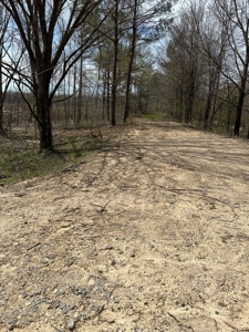 Hunting and Recreational Land in Clark County, AR - image 18