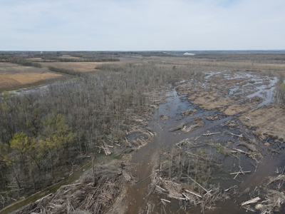 Hunting and Recreational Land in Clark County, AR - image 5