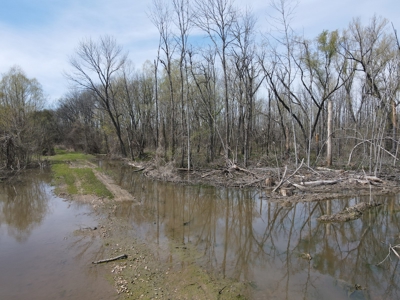 Hunting and Recreational Land in Clark County, AR - image 15