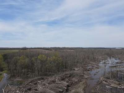 Hunting and Recreational Land in Clark County, AR - image 2