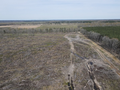 Hunting and Recreational Land in Clark County, AR - image 35