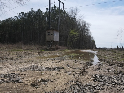Hunting and Recreational Land in Clark County, AR - image 1