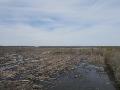 Hunting and Recreational Land in Clark County, AR - image 3