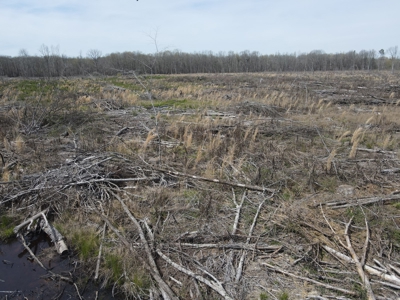 Hunting and Recreational Land in Clark County, AR - image 32