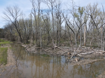Hunting and Recreational Land in Clark County, AR - image 16