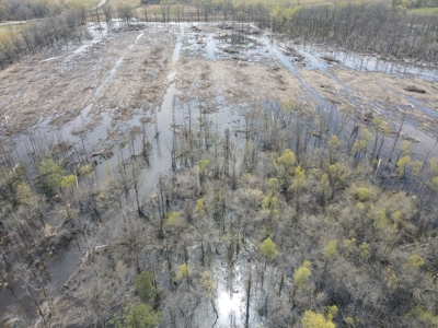 Hunting and Recreational Land in Clark County, AR - image 8
