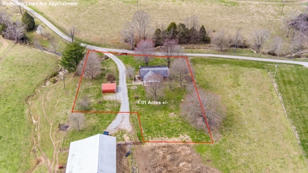 Absolute Auction-4 Bedroom Brick Home in Campbellsville, KY - image 20